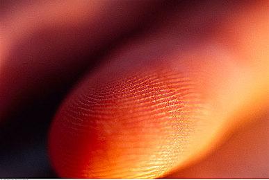 电影《哪吒之魔童闹海》首支预告 大年初一正式上映